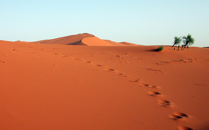 Marocco 2006