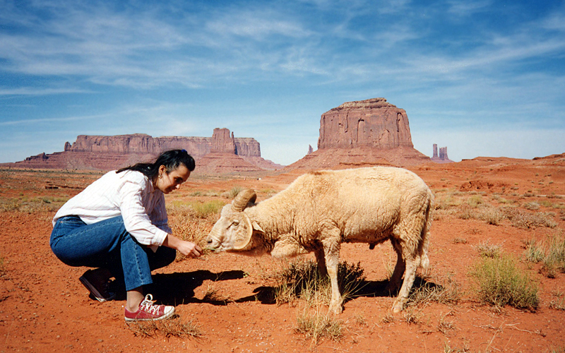 West Usa 1993