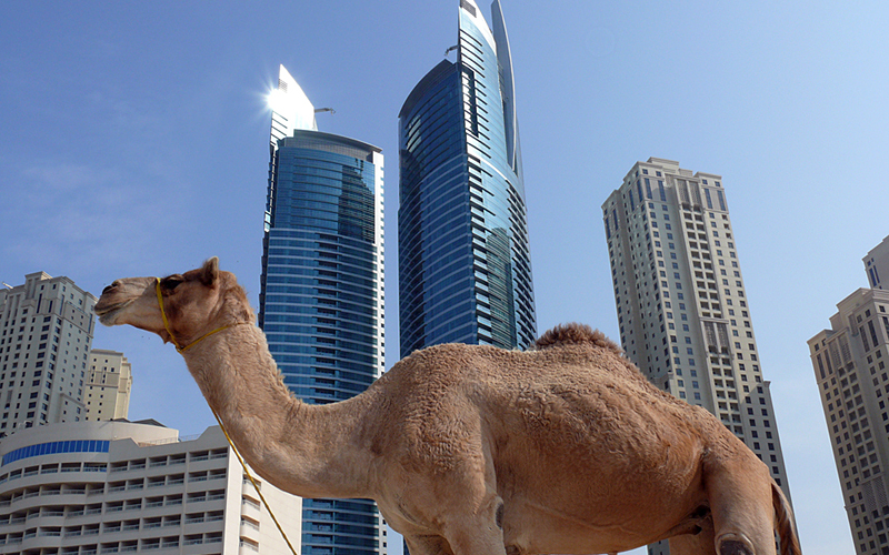 Dubai 2007
